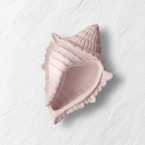 قالب شات صدف مدل گوشماهی